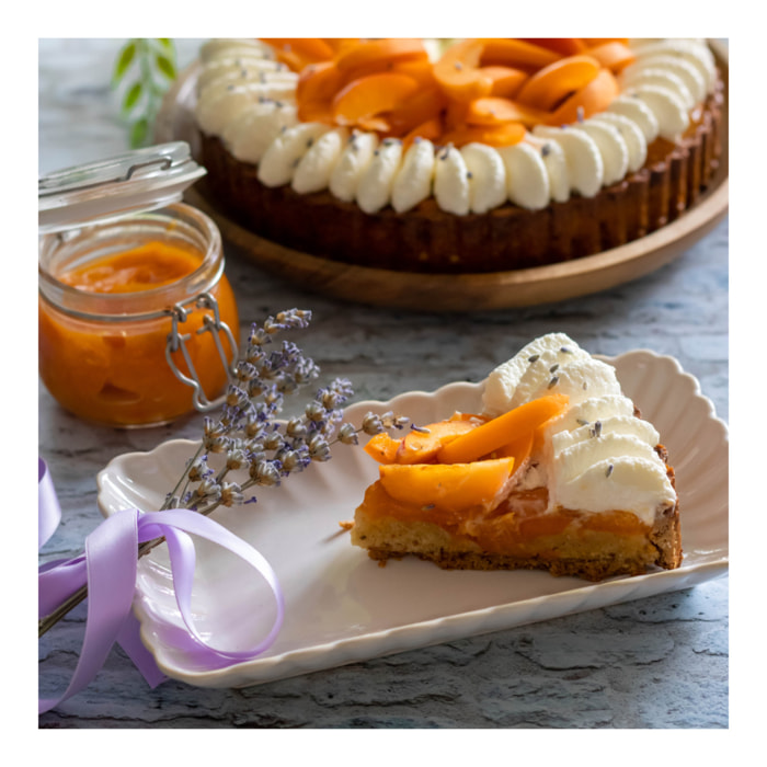 Lot de 6 petites assiettes rectangulaires, Coquillage