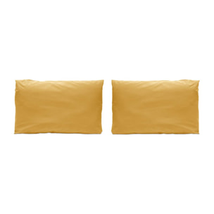 2 Taies d'oreiller PURE en coton percale - moutarde -