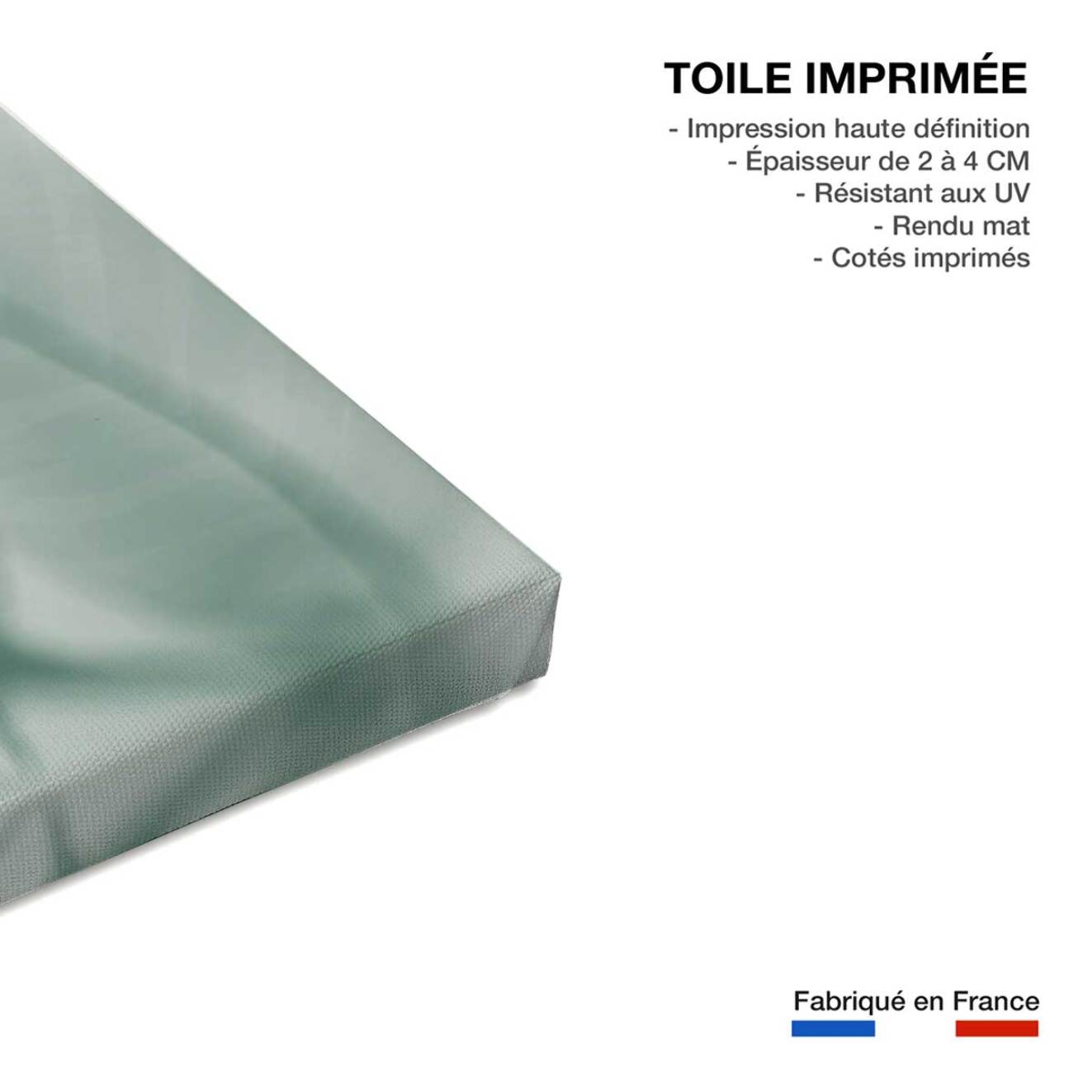Tableau feuille leaf  Toile imprimée