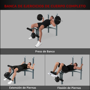 Banco de Pesas Altura Ajustable Banco de Musculación Multifuncional Máquina de Fitness Entrenar Completo con Respaldo Regulable Carga 300 kg 165x68x114 cm