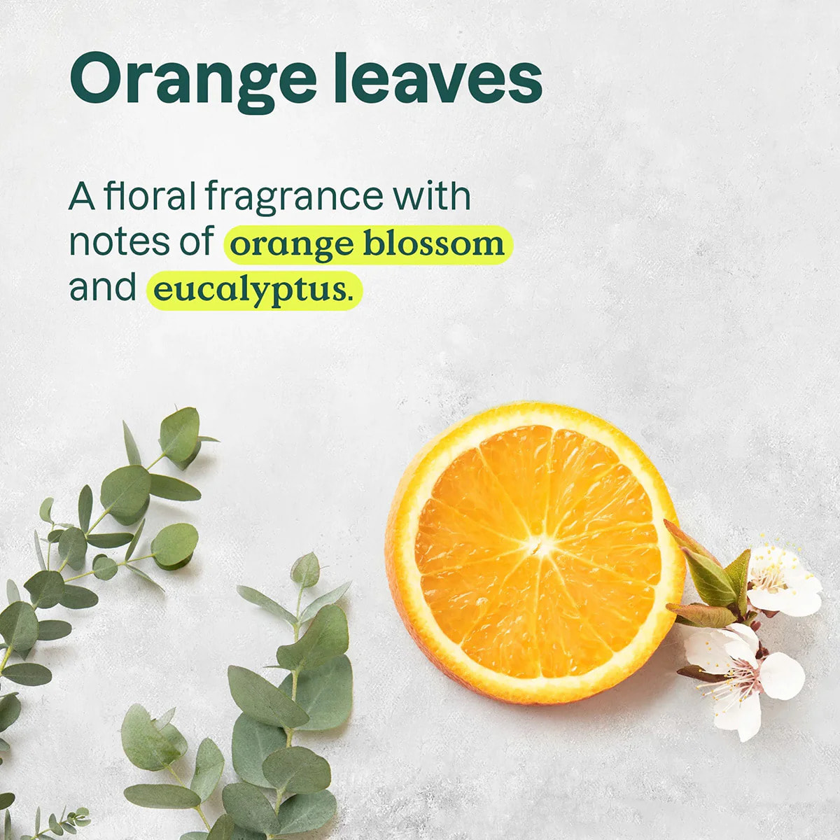 Super leaves Jabón de manos Flor de naranja y eucalipto, Attitude, 473 ml
