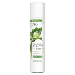 Pack de 3 - DOVE Nat Pouvoir des Plantes Arbre à Thé Eco-Spray 75ml