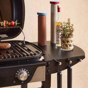 Barbecue électrique noir 2 brûleurs. acier émaillé 2300 W. L 100 x P 61 x H 121.5 cm