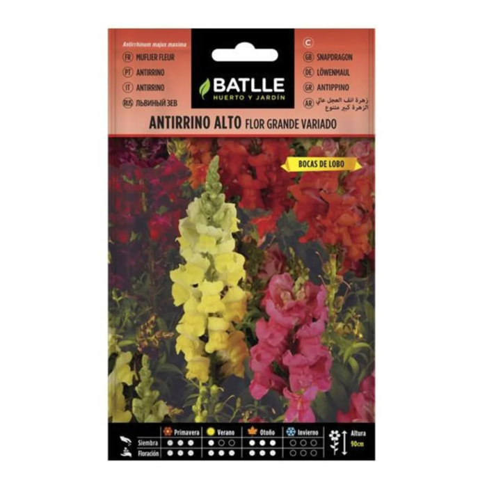 Semillas de Antirrino alto flor grande Batlle