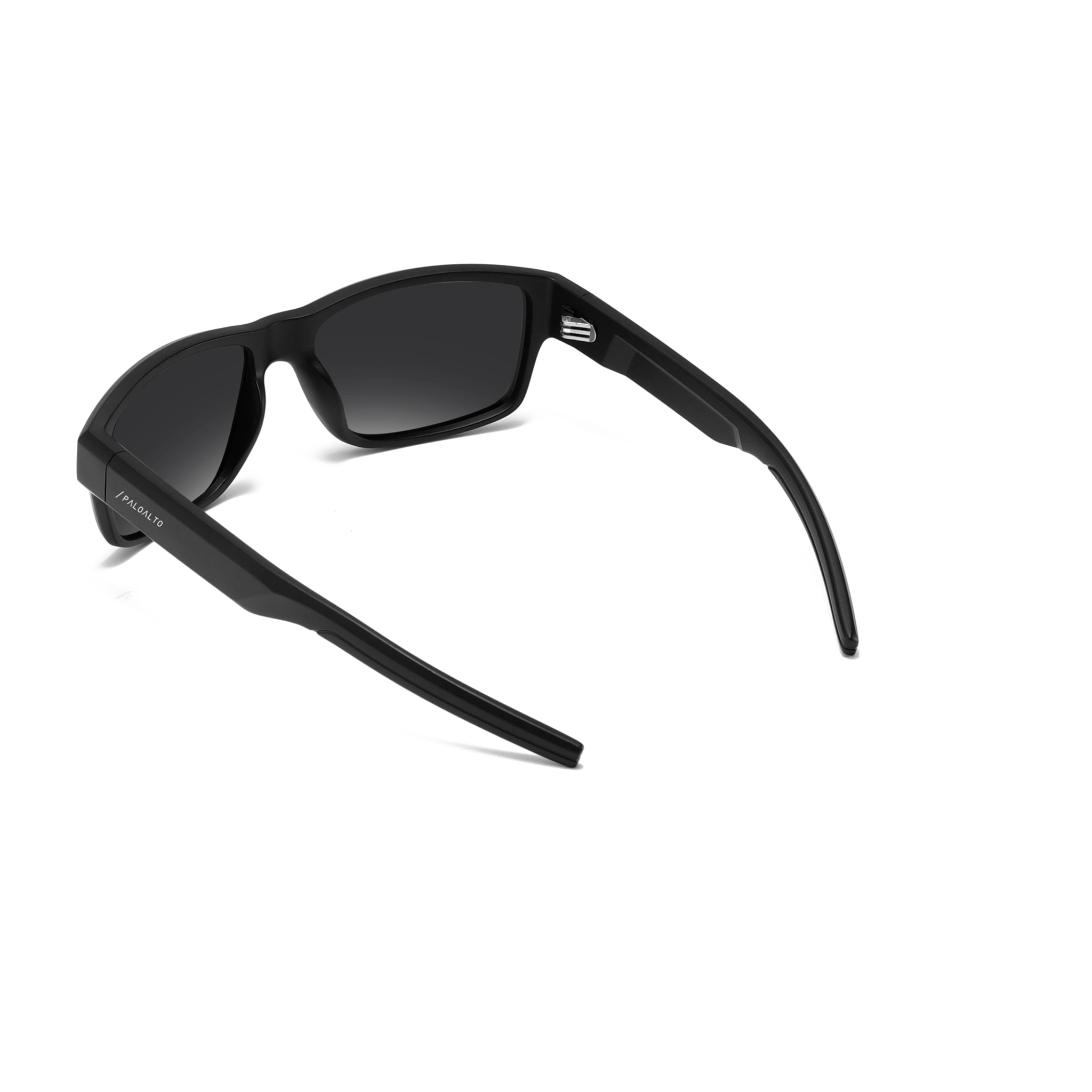 Gafas de sol PALO ALTO SANDBOARD - Negro mate / Polarizada ahumada