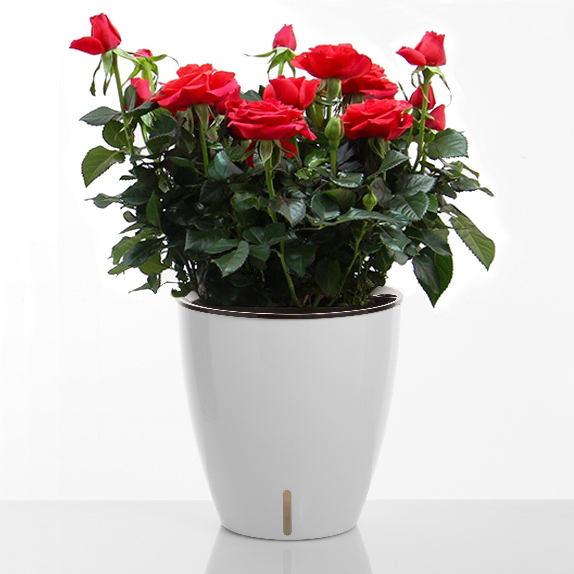 Pot de fleurs à réserve d’eau Tomasucci TULIP, en polypropylène, blanc, 30 × 30 × 23 cm