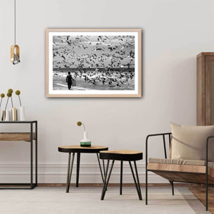 Poster festin de mouettes Affiche + cadre en bois - Chêne