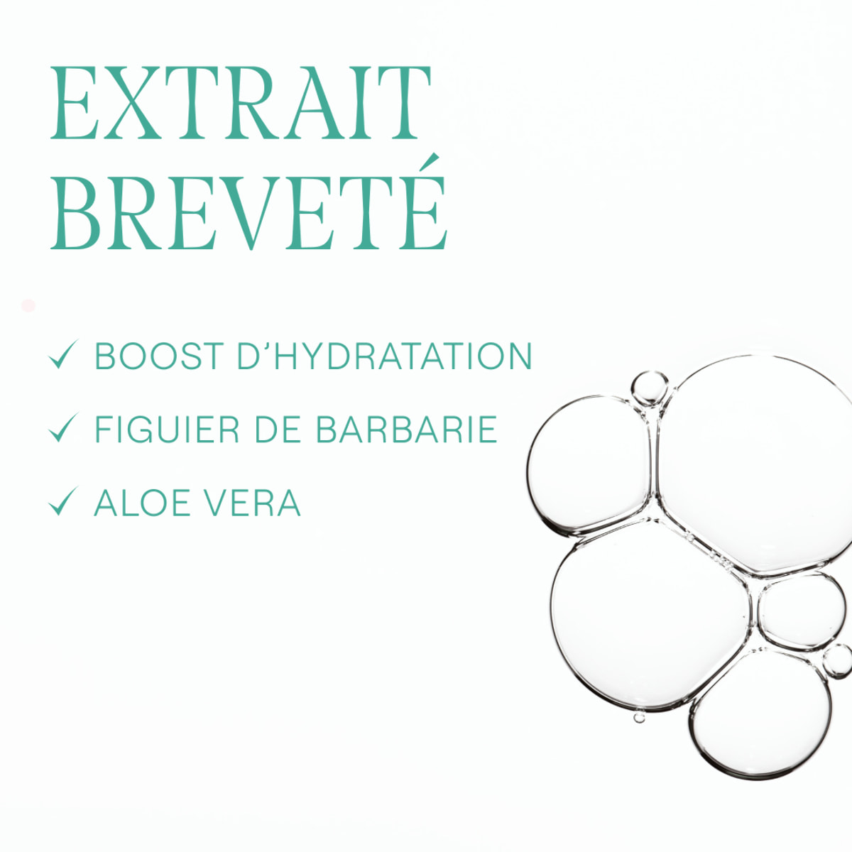 WELEDA - Crème hydratante 48h Hydra+  - 30 ml