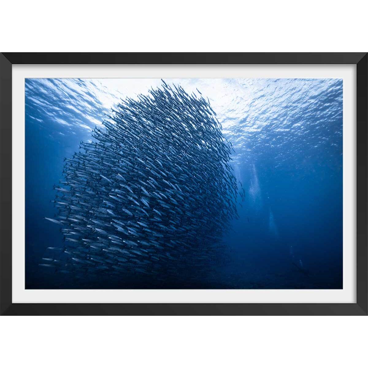 Affiche Masse bleue Affiche sous cadre noir