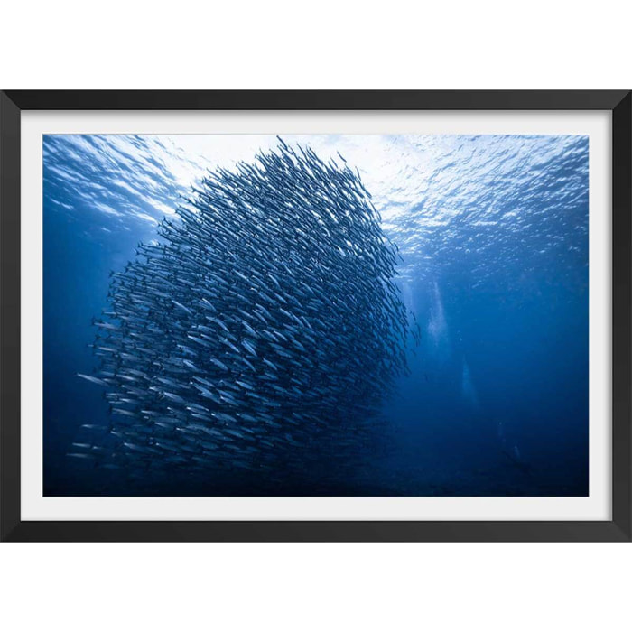 Affiche Masse bleue Affiche sous cadre noir