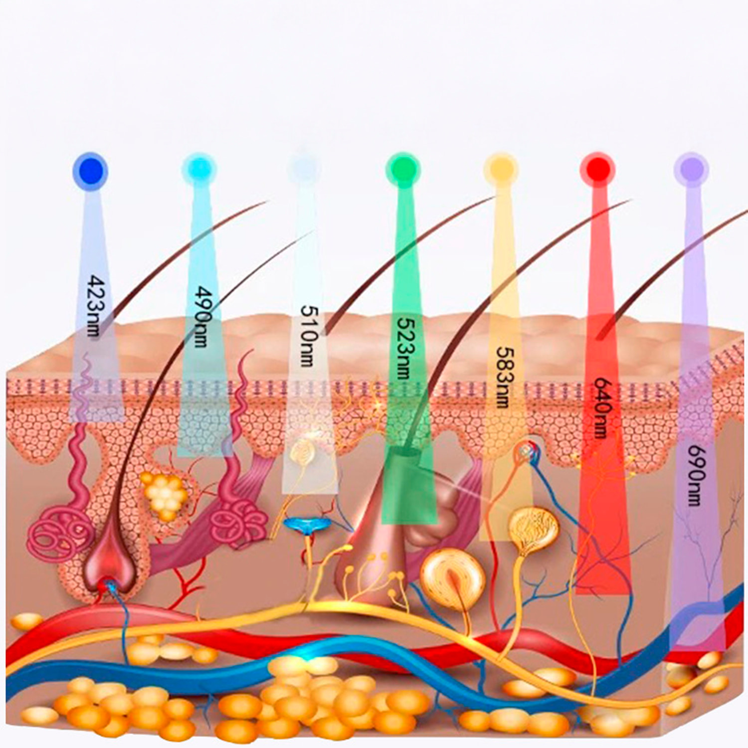 Maschera facciale senza fili con trattamento di luminoterapia a 7 colori. Viso e collo.