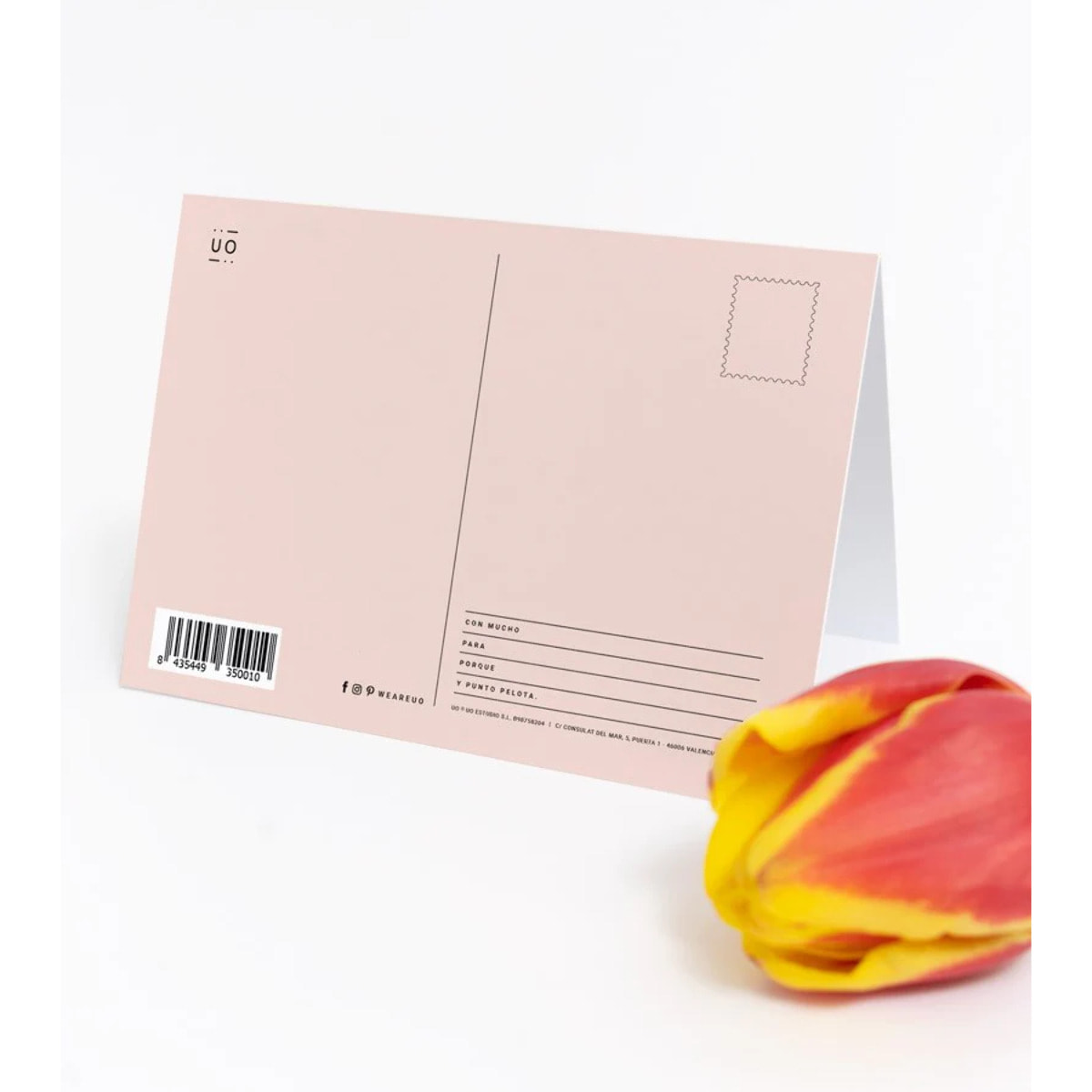 Postal "Gracias abuela"