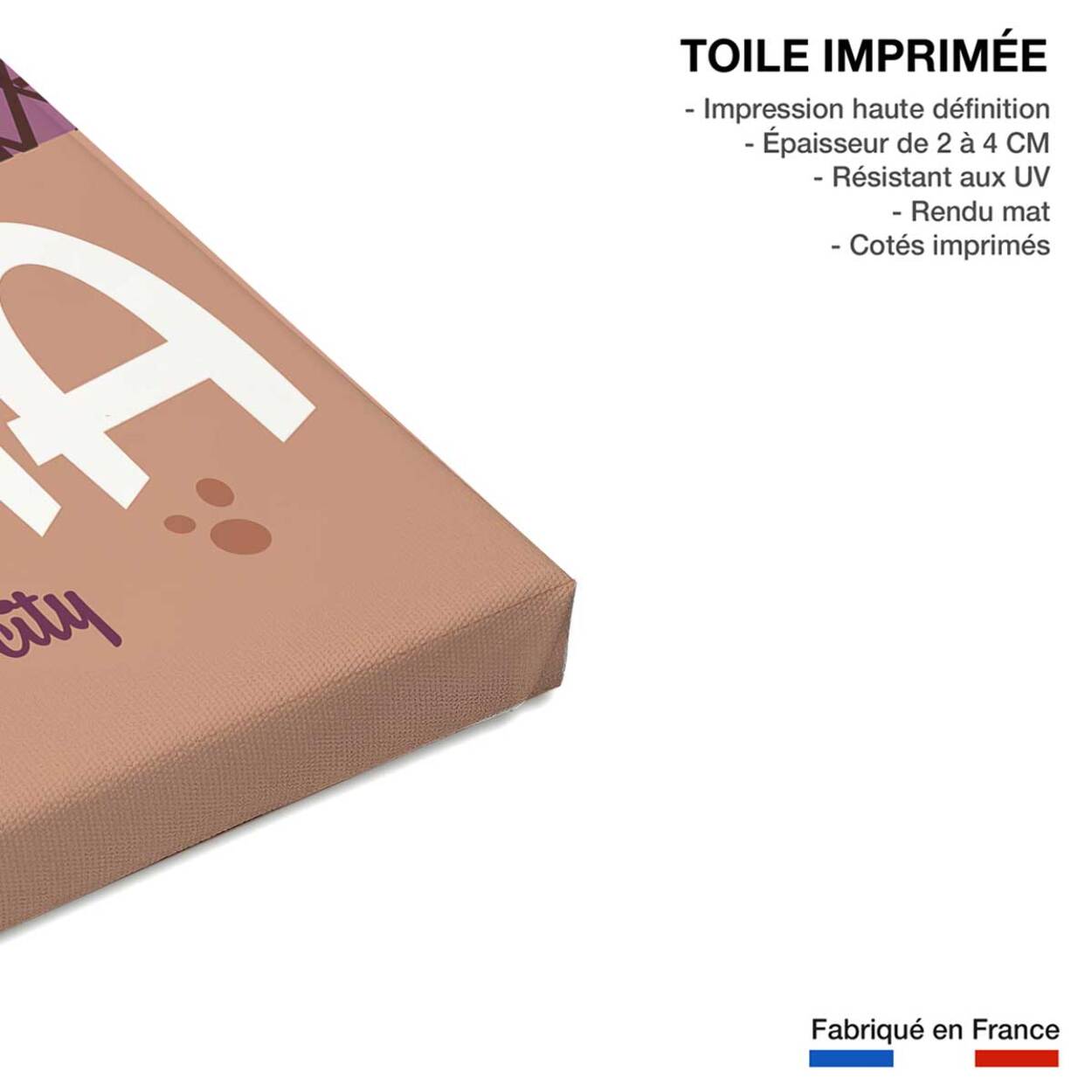 Tableau voyage à Rome Toile imprimée