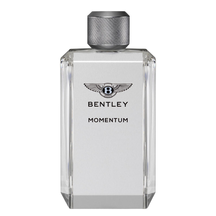 Momentum - Eau de Toilette 100 ml