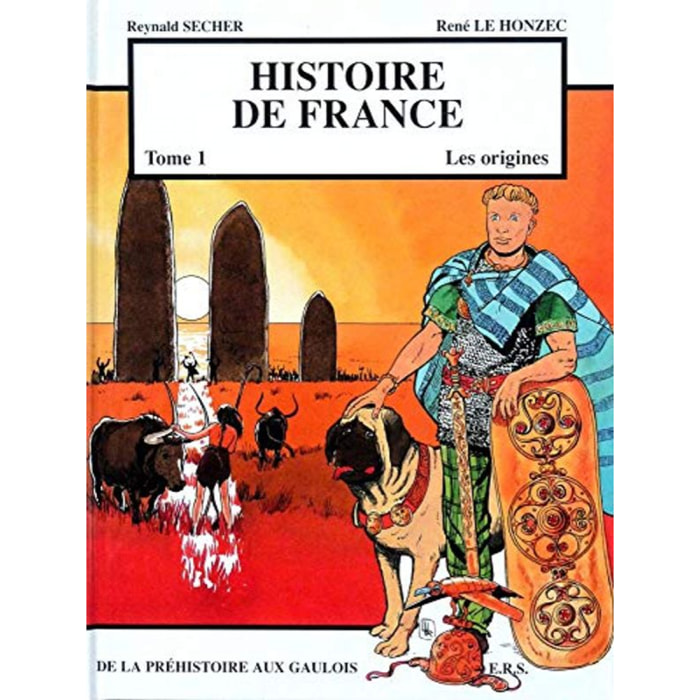 Secher, Reynald | Histoire de France T1 Les origines - De la Préhistoire aux Gaulois | Livre d'occasion
