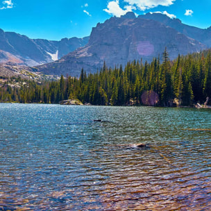 Tableau panoramique lac alpin et forêt sous ciel bleu Toile imprimée