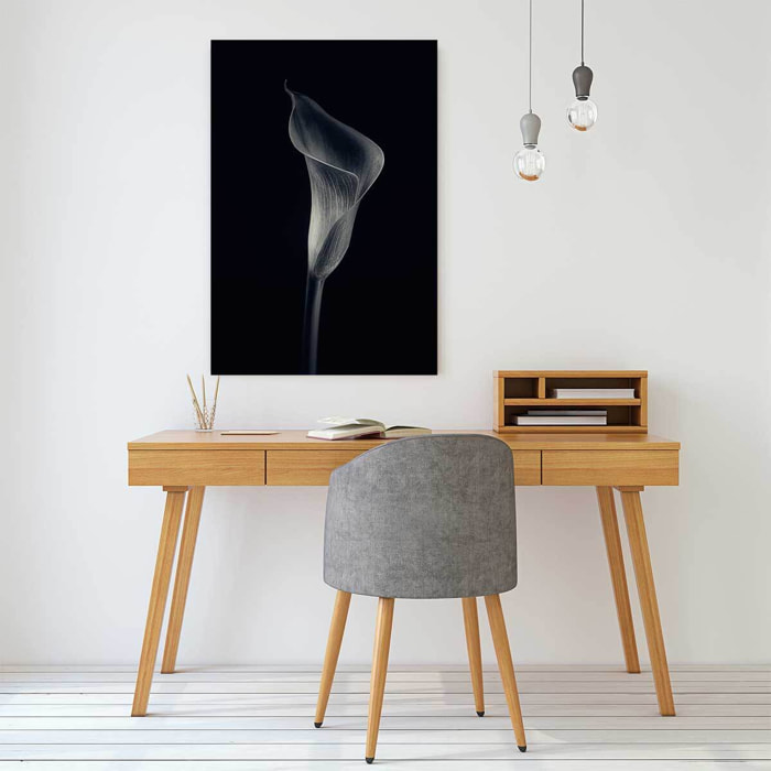 Tableau d'art calla lily  Tableau alu Dibond