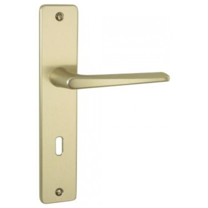 Ensemble de porte Riviera 90 BEZAULT Entraxe 195 mm Champagne - Clé i - 0072867