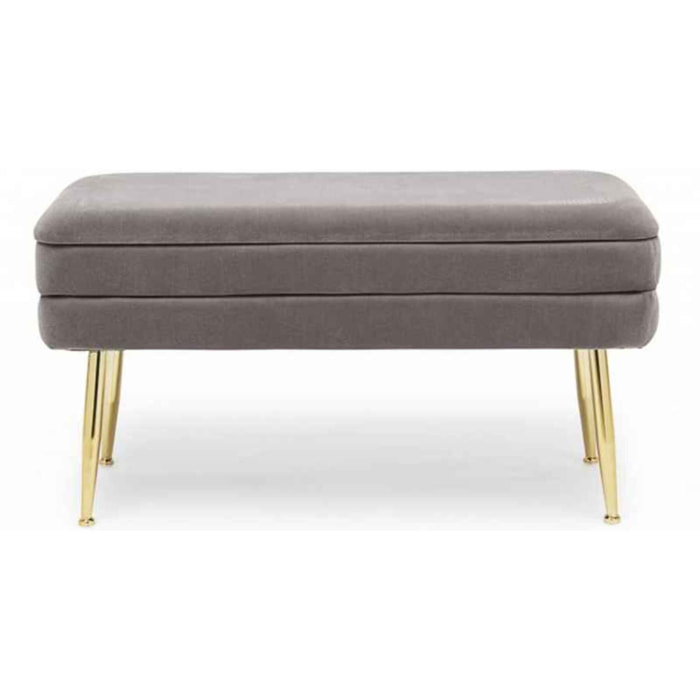 PANCA CONTENITORE PAVLINA GRIGIO 80X38X42 cm