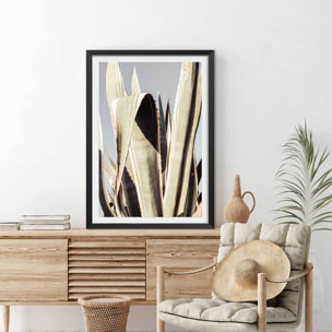 Poster cactus mexicain Affiche + cadre en bois - Noir