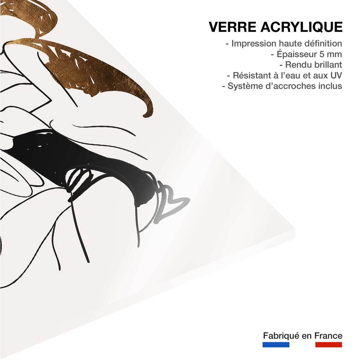 Tableau dessin ballerines Tableau plexiglas