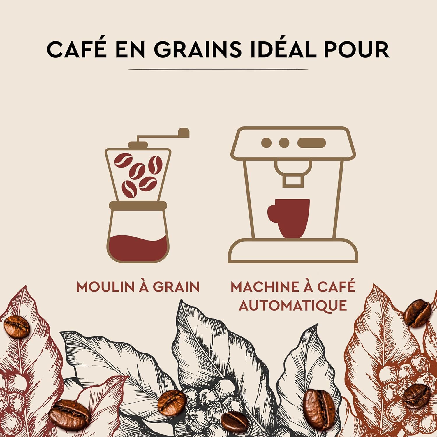 Carte Noire Café en Grains Cuvée de caractère - 500G