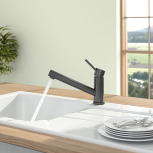 Robinet cuisine rabattable VILLEROY ET BOCH Como Shower window
