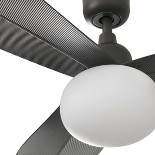 PALMA M Ventilatore a soffitto  marrone IP44 E27