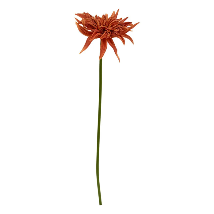 Tige décorative Homy H.55cm
