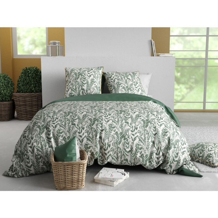 Parure Housse De Couette 3pcs 100% Coton 57 Fils MANGROVE