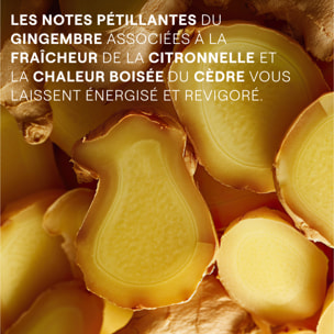 WELEDA - Gel Douche Energy Gingembre Énergisant - 750 ml