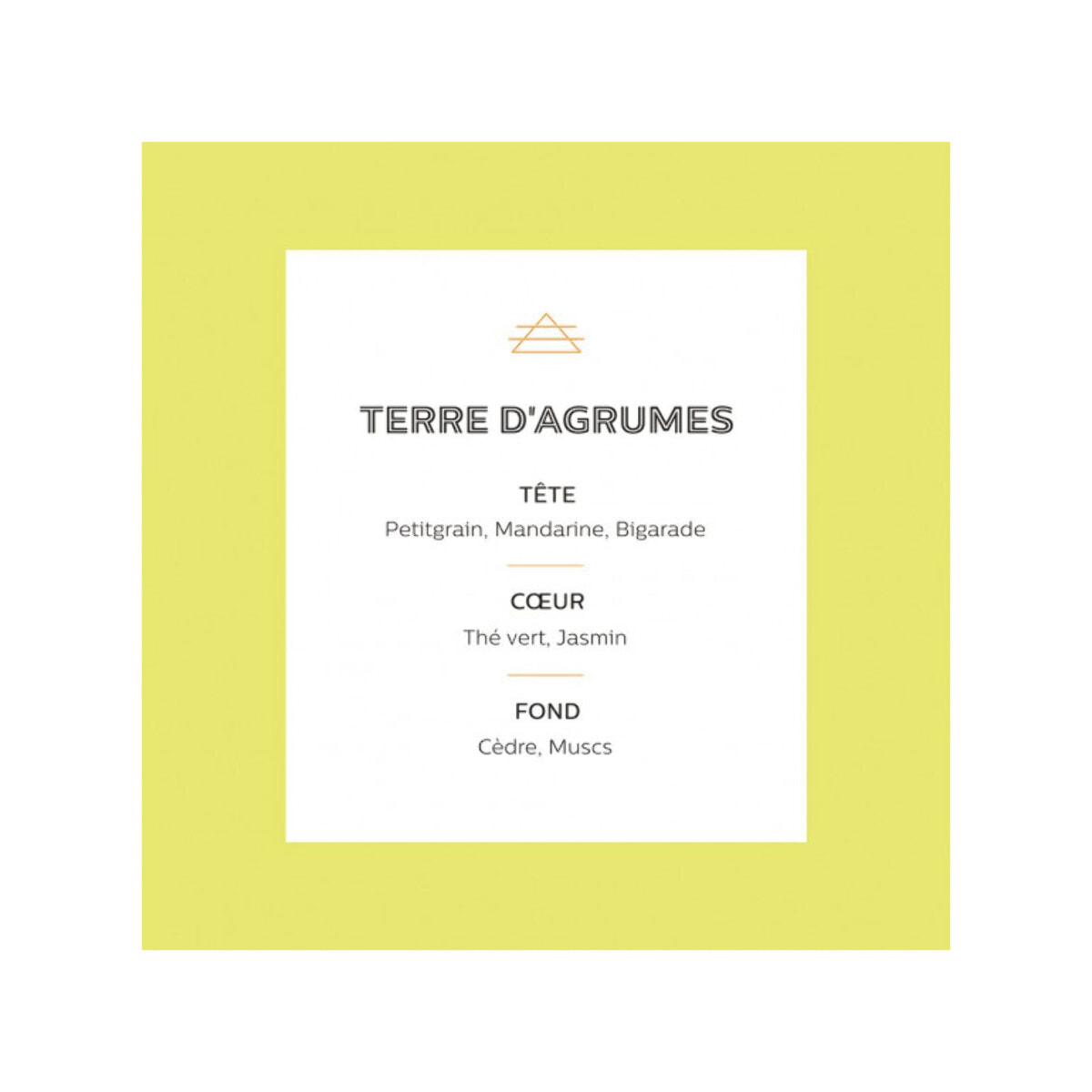 Encens japonais Esteban® 40 bâtons - TERRE D'AGRUMES 079