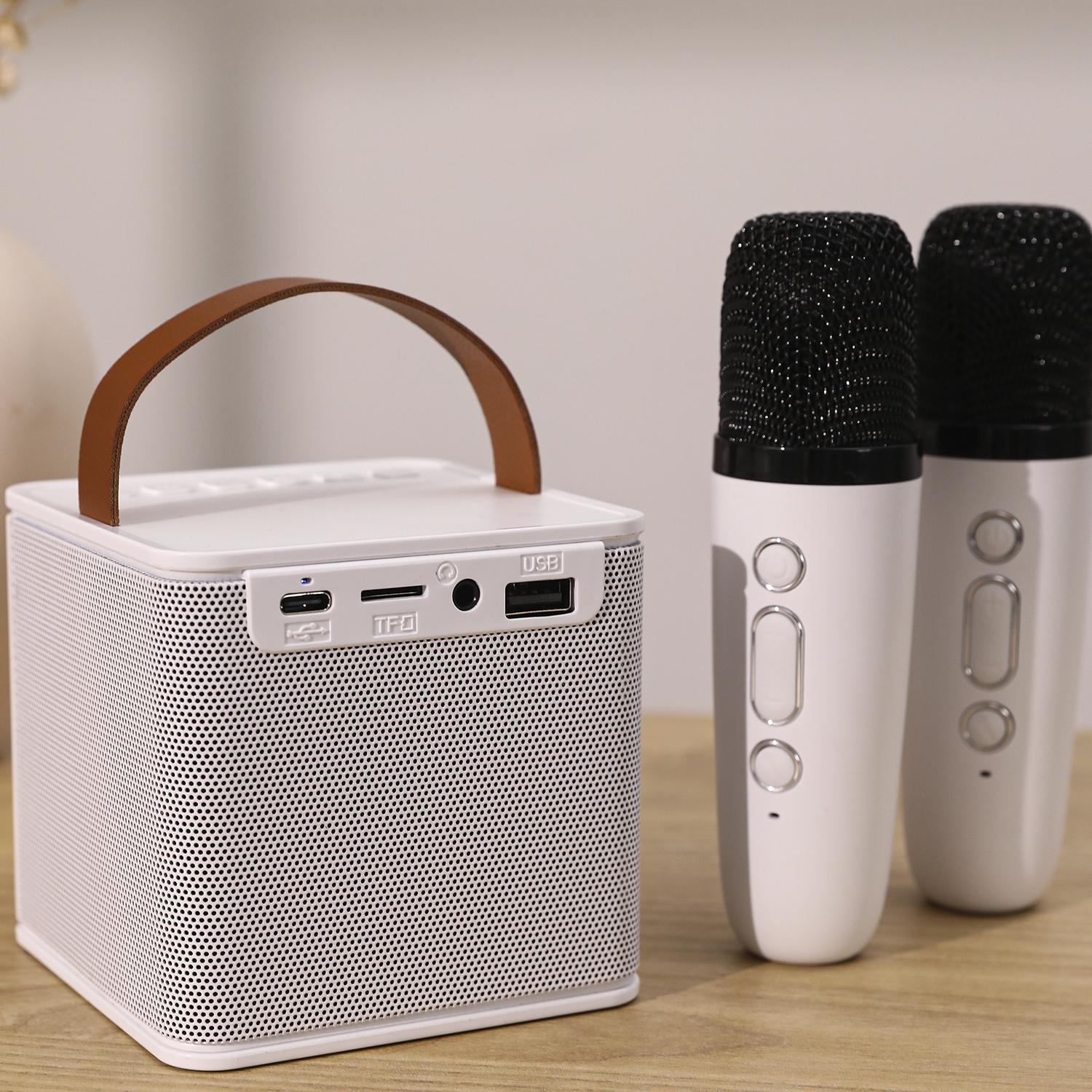 Kit Karaoke Bluetooth con altoparlante e 2 microfoni. 10 W, batteria integrata.