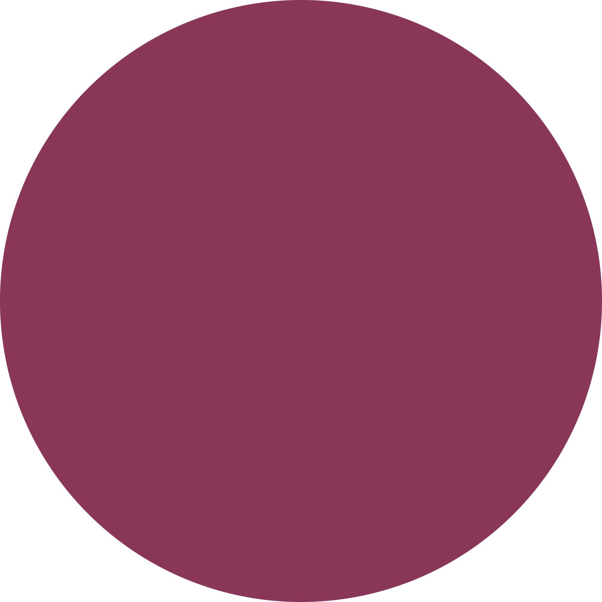 MATT NAIL LACQUER - SMALTO Smalto dal colore intenso e matt