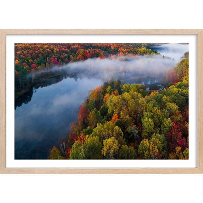 Affiche forêt et symphonie d'automne Affiche + cadre en bois - Chêne