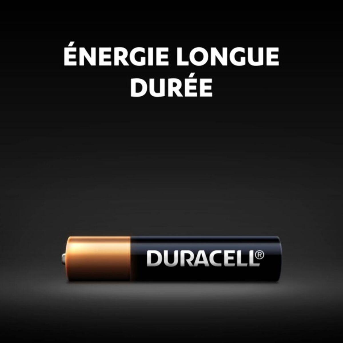 Pile DURACELL ULTRA POWER AAAA, pack de 2 unités