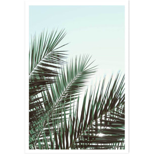 Poster palme verte Affiche seule