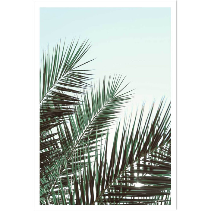 Poster palme verte Affiche seule