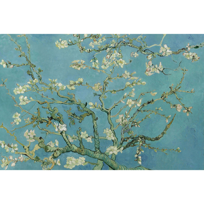 Tableau vincent van gogh Tableau alu Dibond