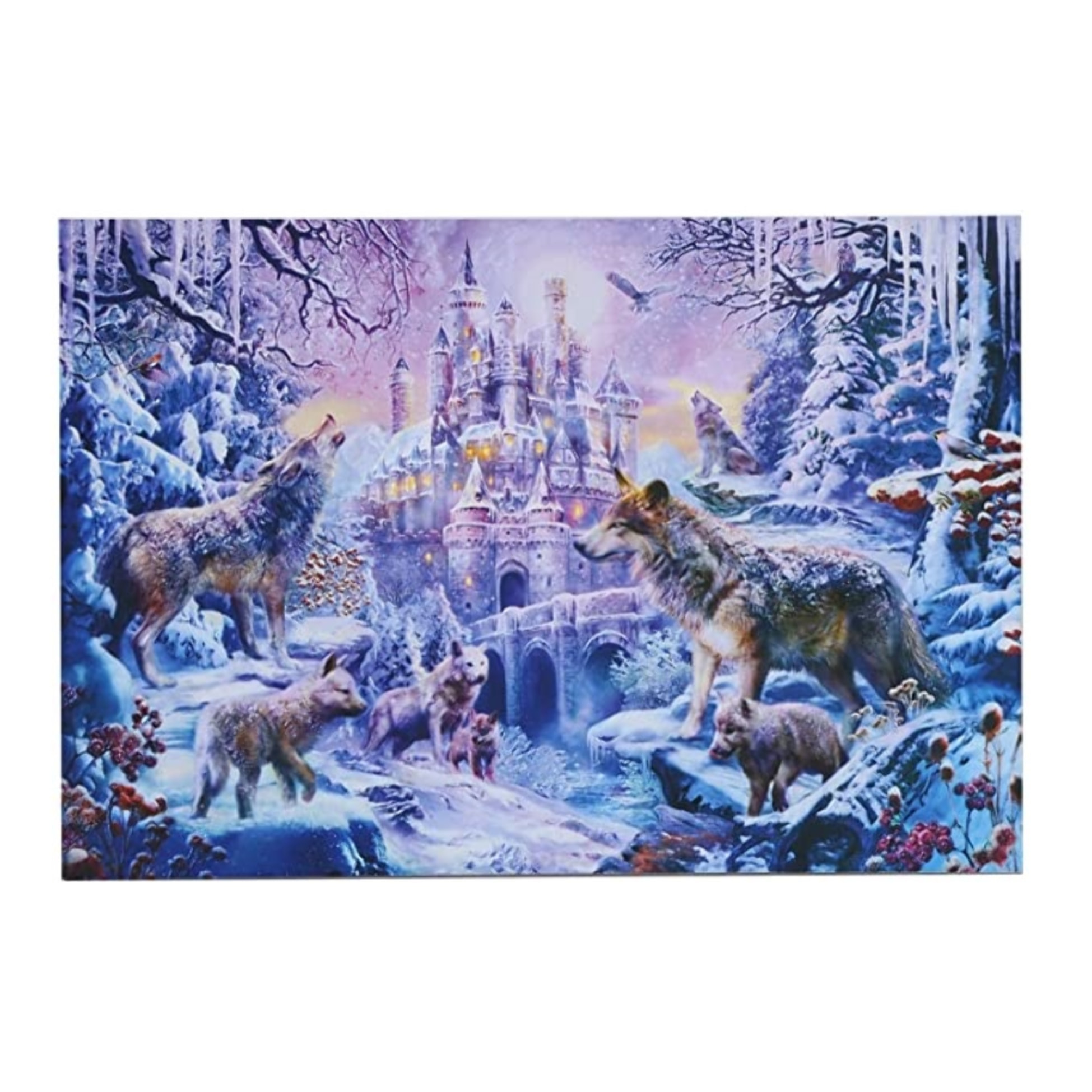 PUZLE DE 500 PIEZAS: EL CASTILLO SOLITARIO