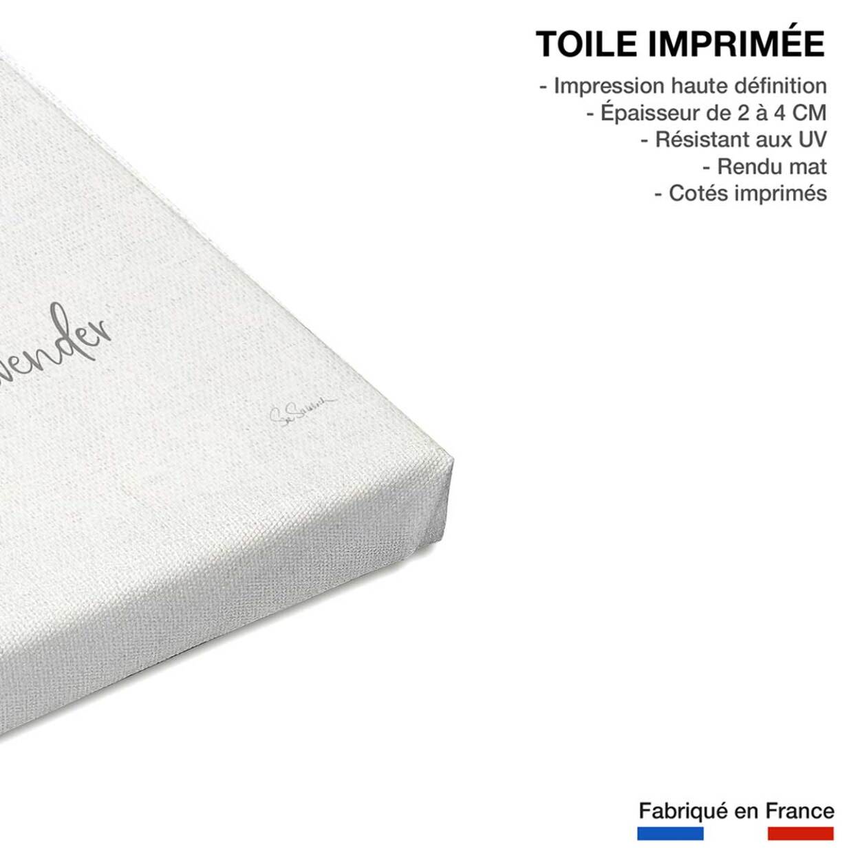 Tableau fleurs lavande illustrée Toile imprimée