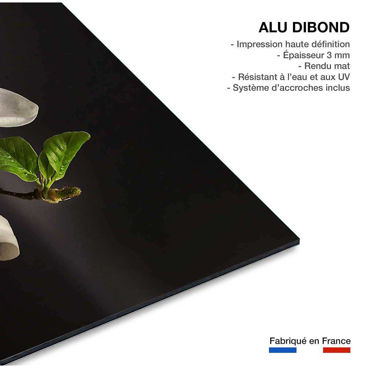 Tableau fleurs magnolia  Tableau alu Dibond