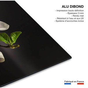 Tableau fleurs magnolia  Tableau alu Dibond