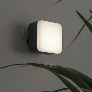 FORLIGHT Tilt - Aplique de Pared Exterior LED Orientable con Accesorio para Foco de Jardín con Pincho