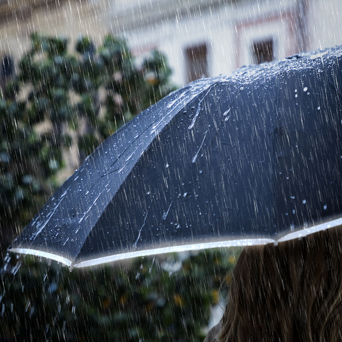 Parapluie Pliable à Fermeture Inversée avec LED Folbrella InnovaGoods - Noir