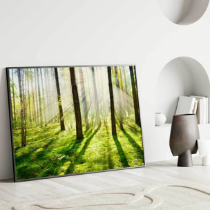 Affiche encadrée forêt lumineuse au soleil Affiche + cadre en métal - Noir