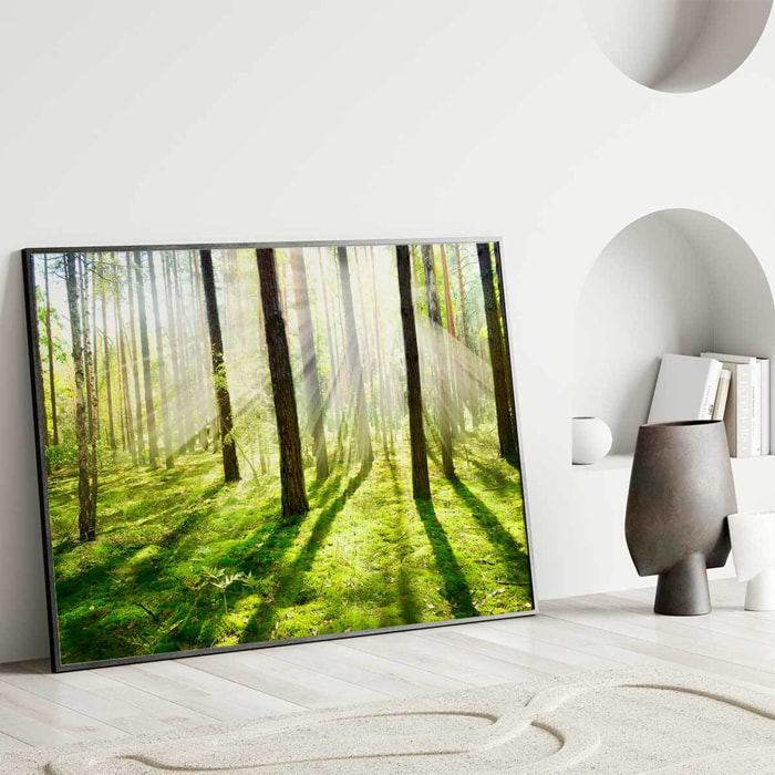 Affiche encadrée forêt lumineuse au soleil Affiche + cadre en métal - Noir