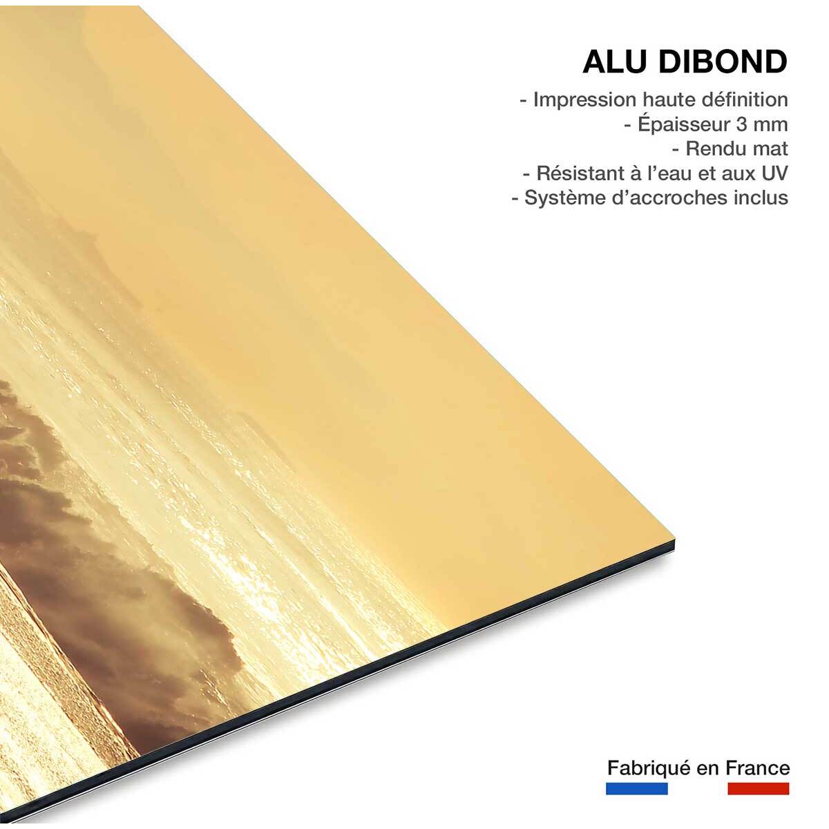 Tableau paysage ocean plage anglet  Tableau alu Dibond