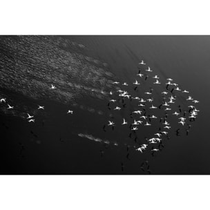 Tableau Take off Tableau plexiglas