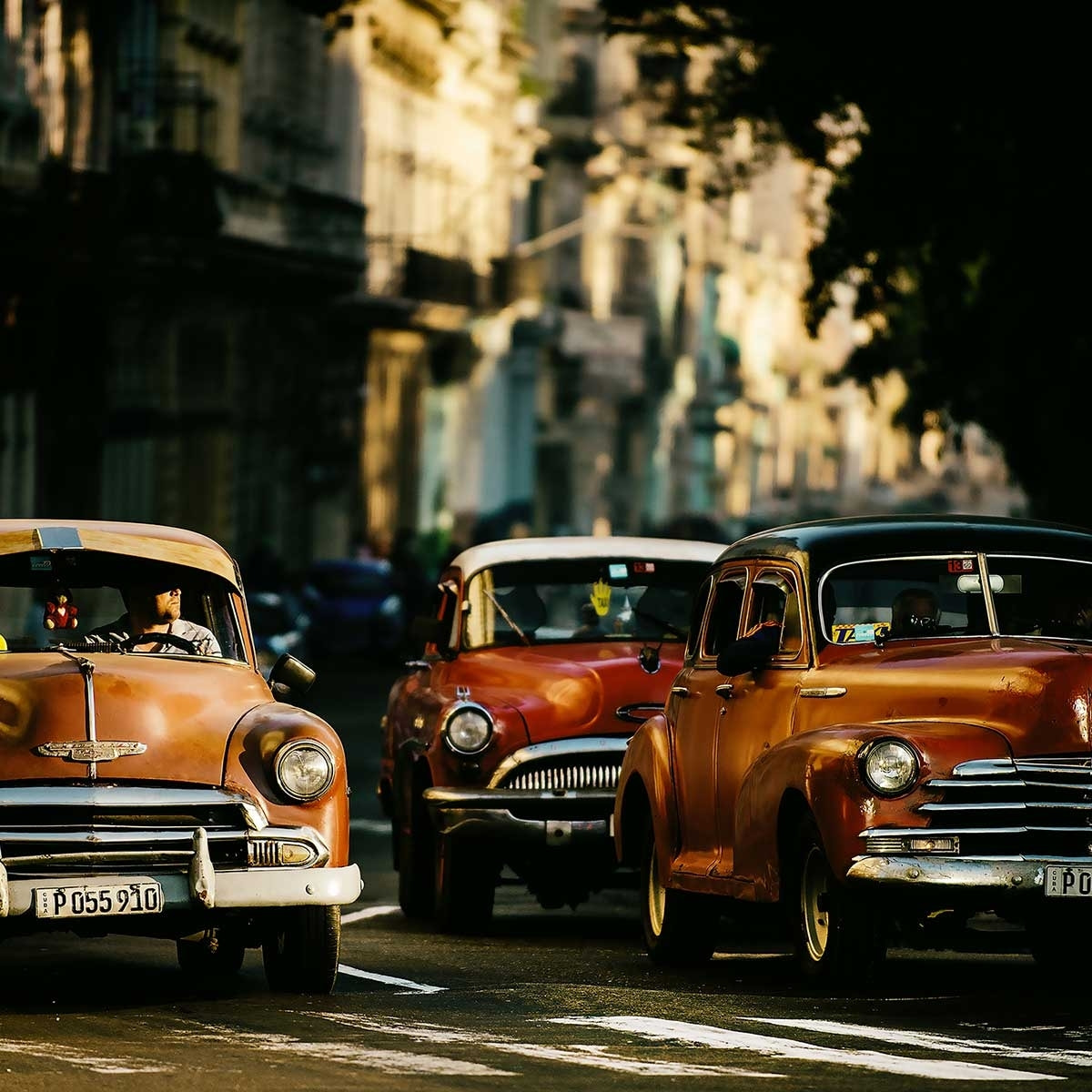 Tableau taxi Toile imprimée
